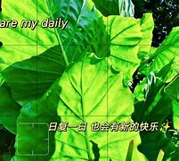 i郑科苹果版爱思助手下载苹果版-第2张图片-太平洋在线下载