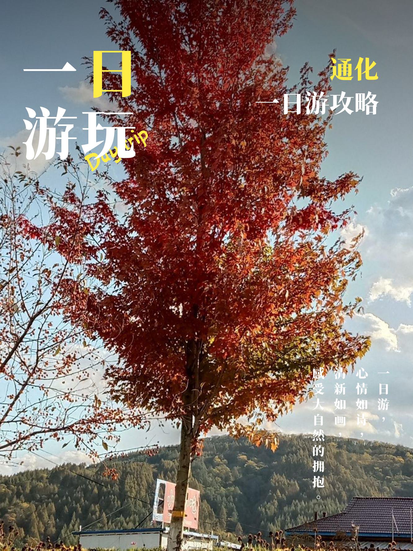 手机版新通化网通化市百业信息报手机版
